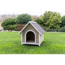 Wayfair  Dog Houses You'll Love in 2024