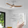 52'' Ceiling Fan with LED Lights