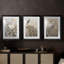 ANIMALS Series CCLV - Impression encadrée sur mesure de qualité supérieure - 3 pièces-1285023878-1285023872