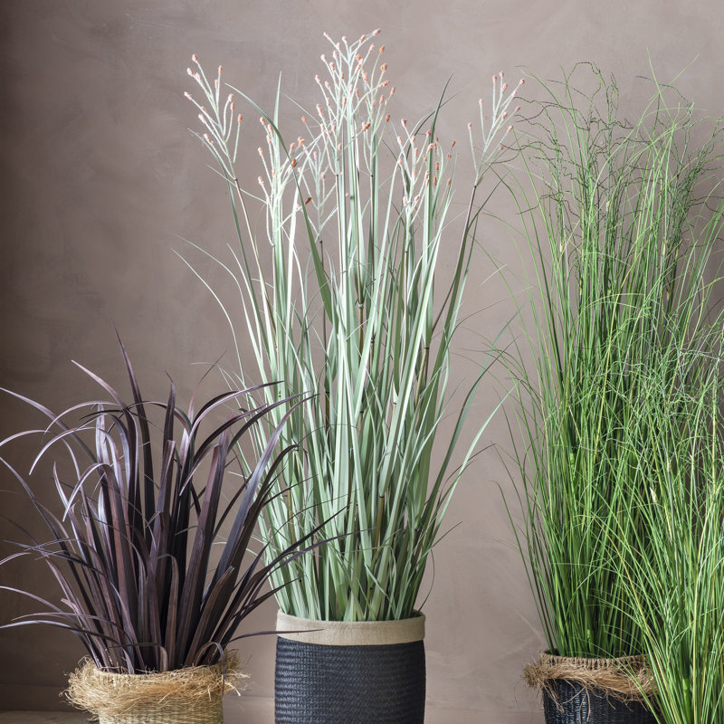 Faux Grass in Cement Pot, 155cm H x 56cm W x 56cm D