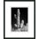 Black And White Cactus 1 Print by Christopher Kennedy