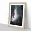 Forest Light - Framed Print-55577602-55577603
