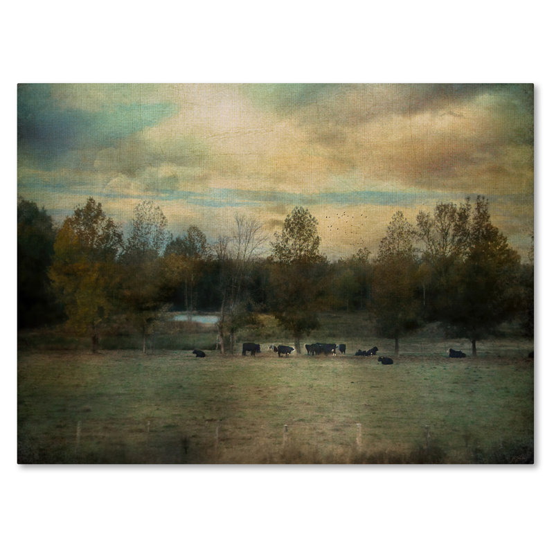«Sunrise On The Farm» de Vidur, reproduction de photo sur toile tendue, H 18 po x l 24 po