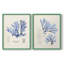 Algue bleue bleue - reproduction encadrée de qualité supérieure - prête à être accrochée - aucun clou requis - aucun clou requis-807077258-807077257