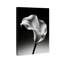 Petal Wave Print by Oliver Gal-610960038-610960084
