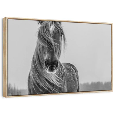 Cheval d'hiver Brampt