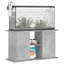 Epworth Aquarium Stand-1418947456