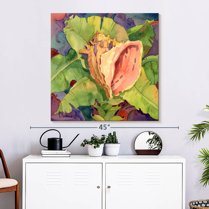 Aletra Mango Bay Conch