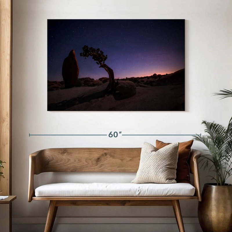 Nicci Joshua Tree Night Landscape, 32'' H x 48'' W