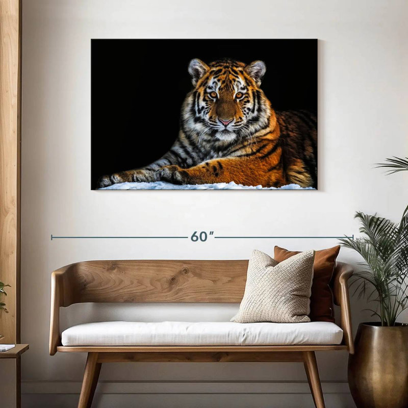 Tigre instantané, H 30 po x l 45 po