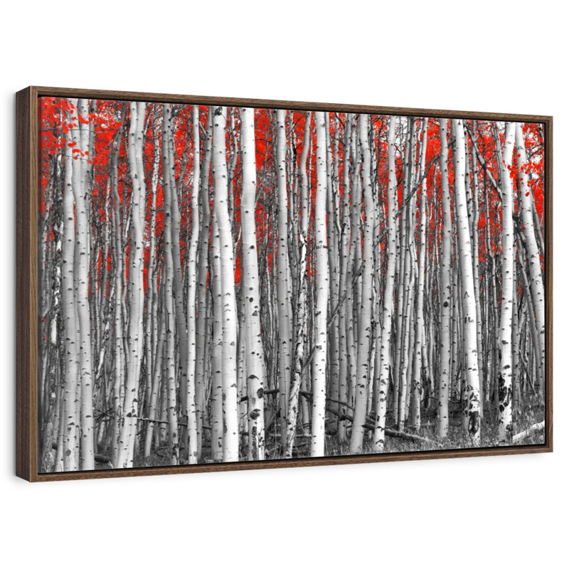 Red Birch Forest, 31" X 21", Floating Frame Walnut