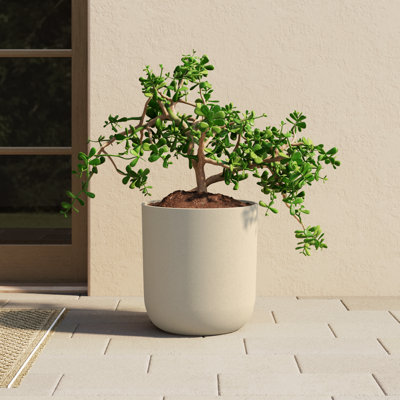 Mason Series Pot Planter