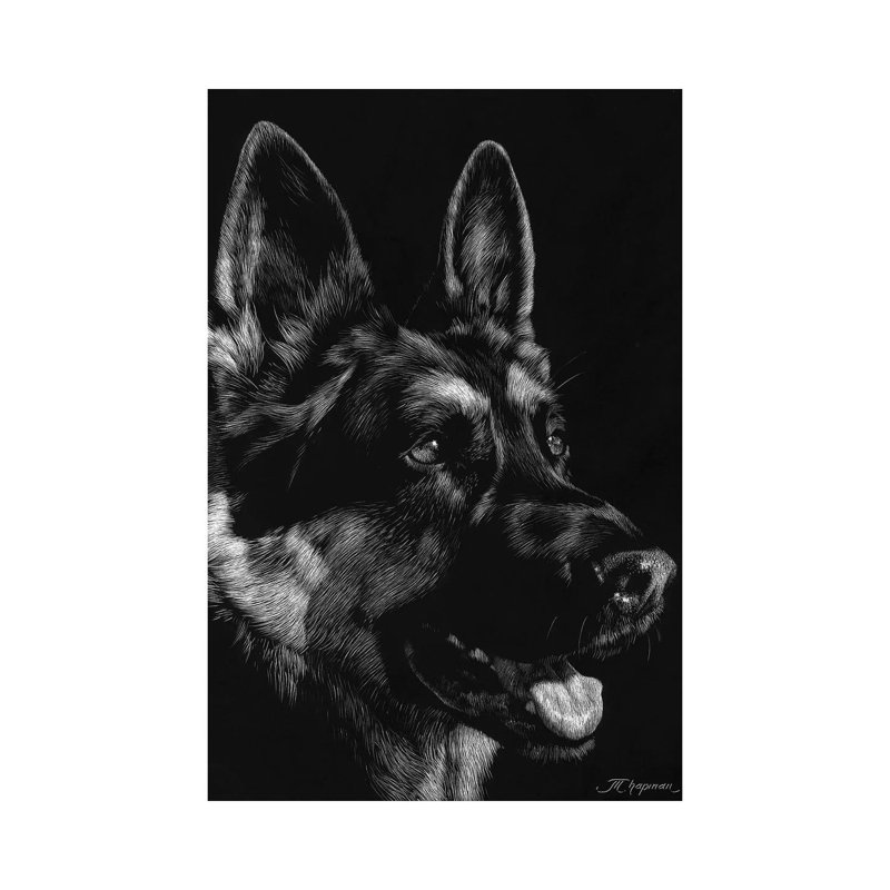 Canine Scratchboard I by Julie T. Chapman - Wrapped Canvas Print, 66.04 cm H x 45.72 cm W x 1.91 cm D