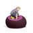 Aubergine/Pink