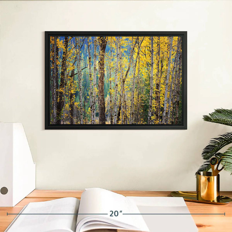 Kootenay Fall II, Cadre flottant noir, 13 po x 9 po