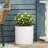 PLANTER