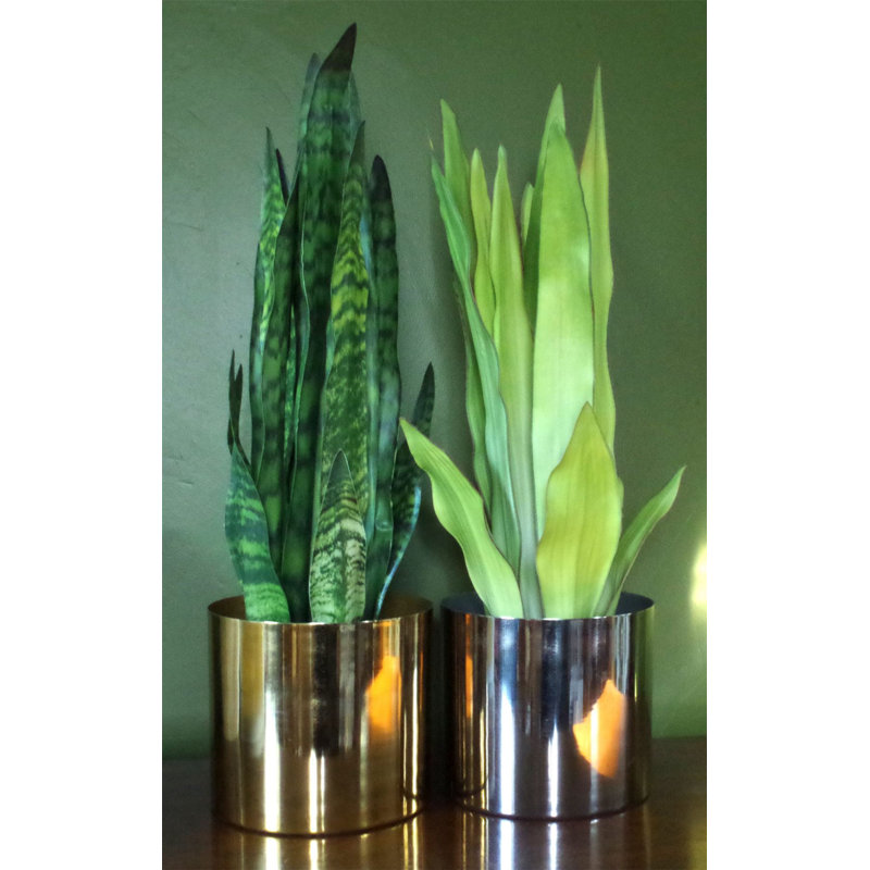 Metal Cachepot