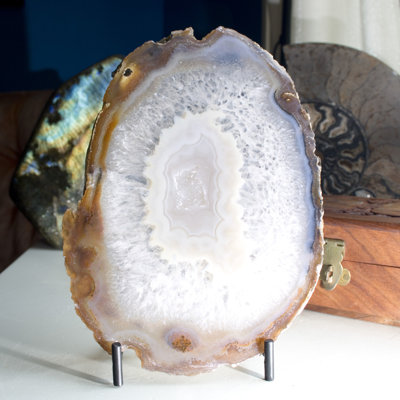 Cristal Newfield