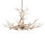 8 - Light Chandelier
