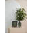 Bex Planter 12.5"x 13.5"-2146759800
