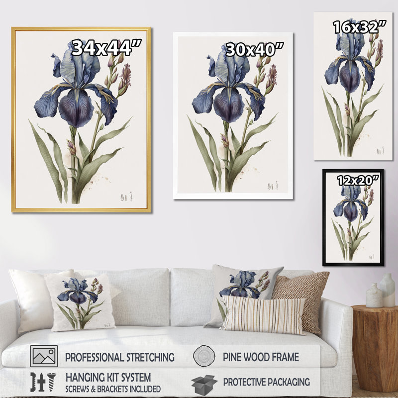 «Blue Iris Botanical Illustration I», reproduction sur toile, H 40 po x l 30 po x P 1,5 po, Cadre simple noir