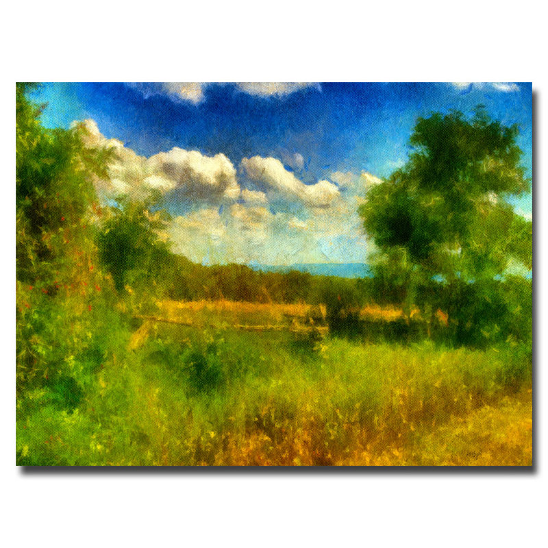 " Split-Rail Fence " by Lois Bryan, 16" H x 24" W x 2" D