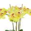 Orchids Arranged in Fiberstone Planter-1808265651