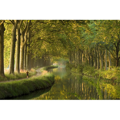 Canal Du Midi - Wrapped Canvas Print