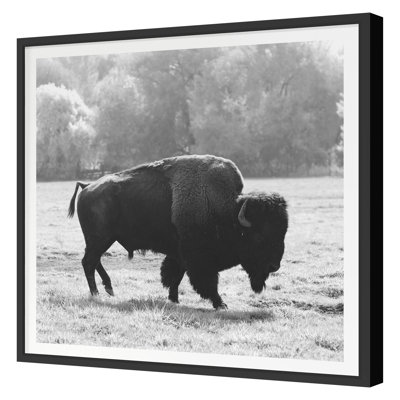 «Bison Fall» par Chris Dunker - impression d'un cadre photo sur papier