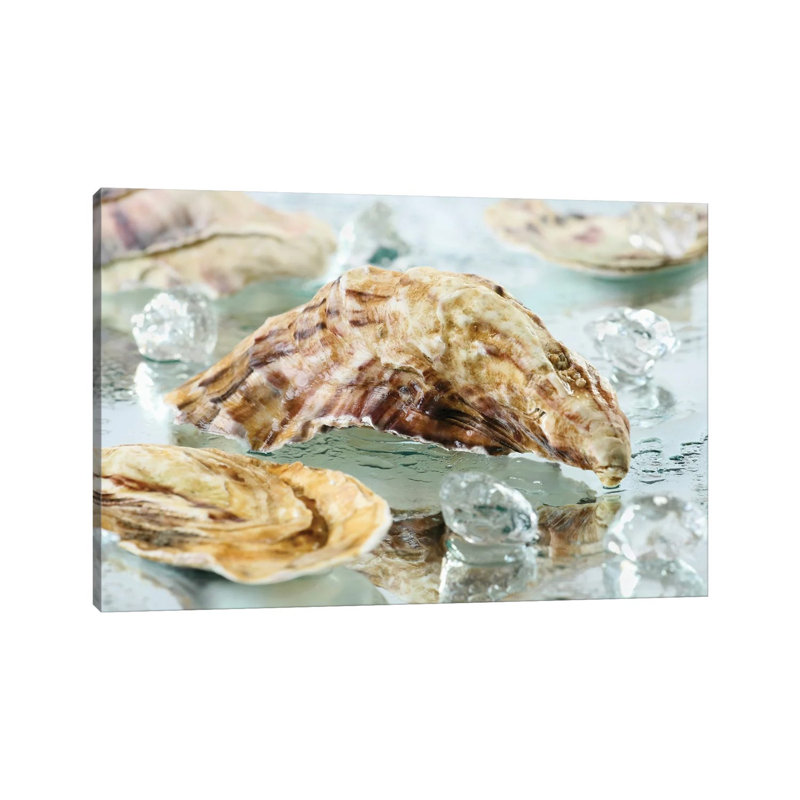 Oyster Shell by Depositphotos - Wrapped Canvas Gallery-Wrapped Canvas Giclée