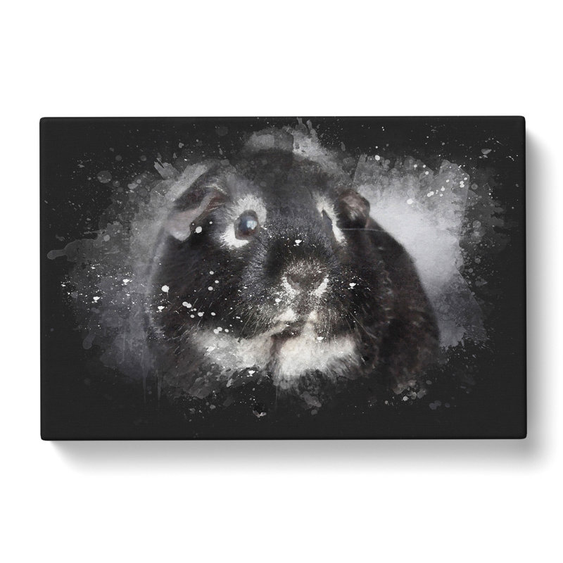 Guinea Pig - Wrapped Canvas, 35cm H x 50cm W x 3cm D