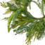 Anneau de bougie UV naturel effet sapin mélangé de 35,5 cm (14 po)