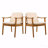 Set Of 2 Outdoor Patio Dining Chair, Teak Color Acacia Wooden Frame, Brown PE Wicker Waterproof Cushion-1446050924