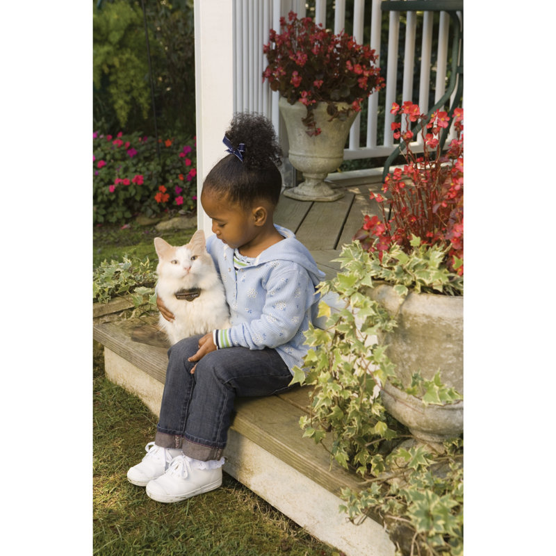 Premium Extra Cat Electric Fence Collar