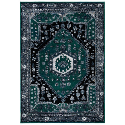Djenabou Performance Oriental Rug