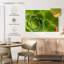 Plante grasse Harnek-108888599