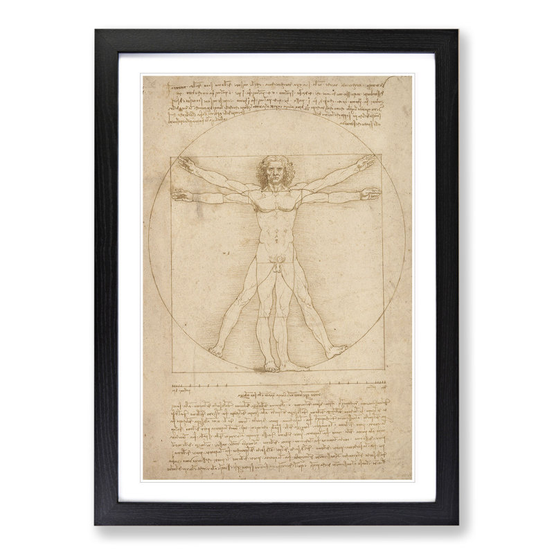 Vitruvian Man Vol.2 by Leonardo Da Vinci - Picture Frame Painting, Black, 48cm H x 36cm W x 2cm D