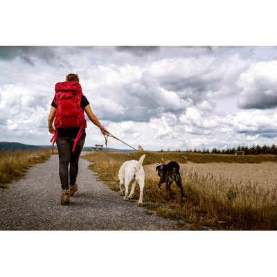 " Woman Walks With Dogs "