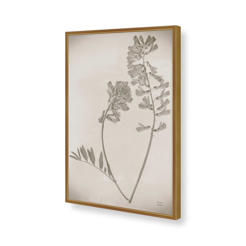 «Wildflower Journal Vintage VI» par Nathan Larson, reproduction d'art, H 30 po x l 20 po, Or