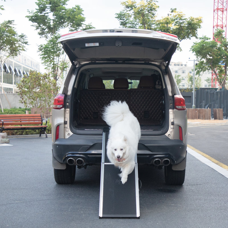 Rampe pliante pour chien en aluminium pour voiture avec tapis antidérapants, échelle pour rampe pour animaux