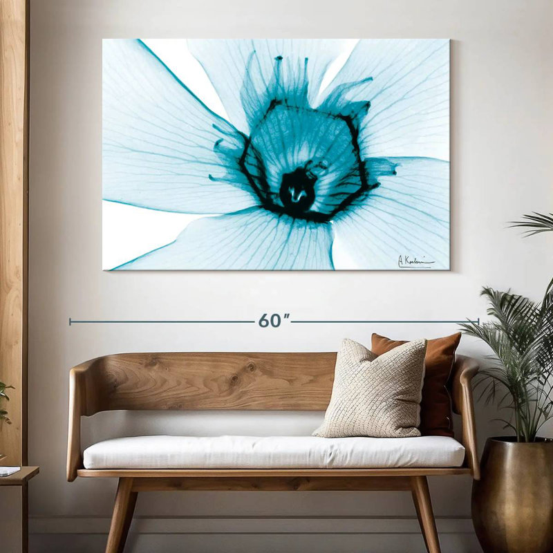Oleander Harnek Aqua, H 34 po x l 51 po