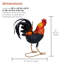 Metal Colourful Rooster Decor
