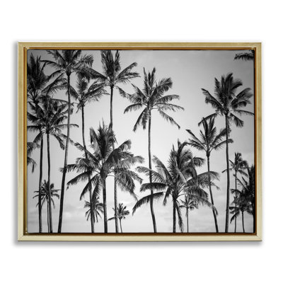 Palmiers, horizon, photographie en noir et blanc sur toile par Design Fabrikken