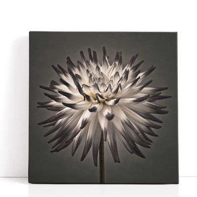 Dahlia Flower Artwork, Close Up Botanical Wall Art, Oversized Framed Photography Art for Living Room | Dahlia Flowers 1
