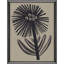 Simple Florals S/4 Print by Watts