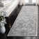 Delmer Performance Oriental Rug