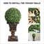 24.21cm Plant