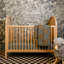 Bondi Cane 3-in-1 Convertible Crib with Toddler Bed Conversion Kit-379489429