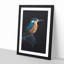 Kingfisher Bird - Picture Frame Painting Print-56924996-56925001