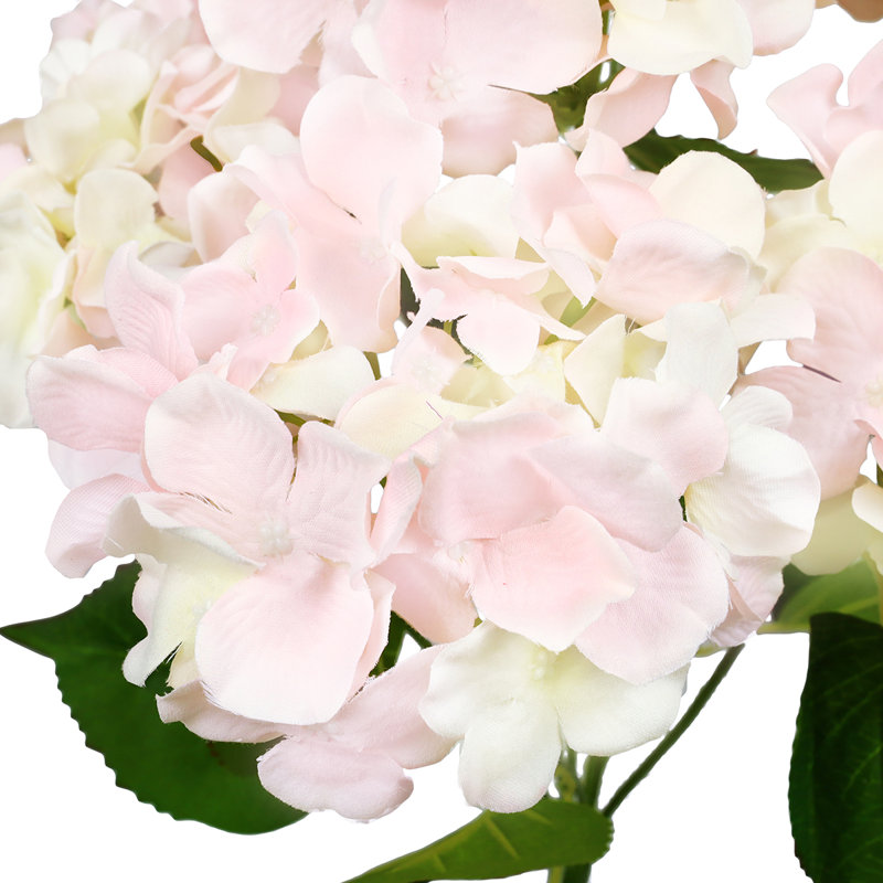 Tige d'hortensia de luxe Cragmont, Rosé